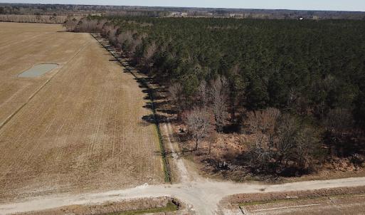 Photo #3 of SOLD property in Off Indian Creek Rd, Chesapeake, VA 105.7 acres