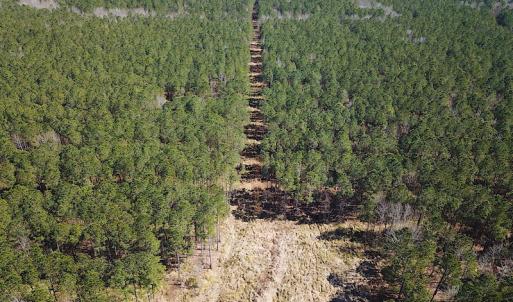 Photo #5 of SOLD property in Off Indian Creek Rd, Chesapeake, VA 105.7 acres