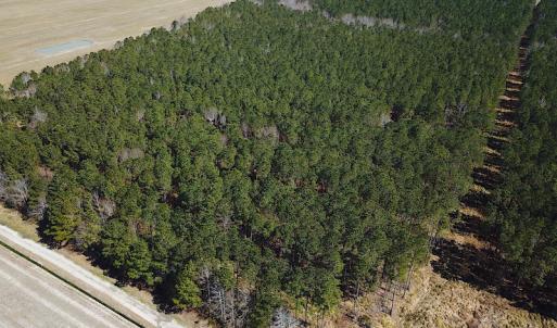 Photo #6 of SOLD property in Off Indian Creek Rd, Chesapeake, VA 105.7 acres
