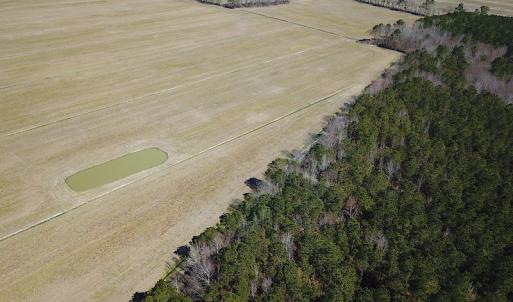Photo #8 of SOLD property in Off Indian Creek Rd, Chesapeake, VA 105.7 acres