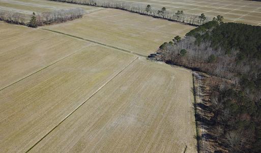 Photo #9 of SOLD property in Off Indian Creek Rd, Chesapeake, VA 105.7 acres