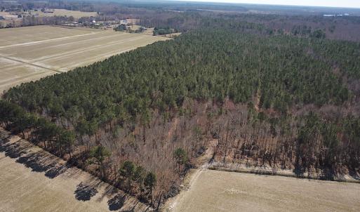 Photo #11 of SOLD property in Off Indian Creek Rd, Chesapeake, VA 105.7 acres