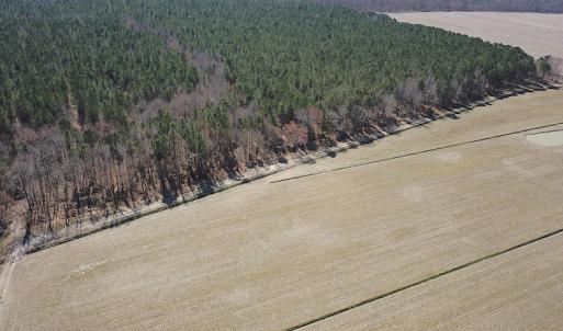 Photo #12 of SOLD property in Off Indian Creek Rd, Chesapeake, VA 105.7 acres