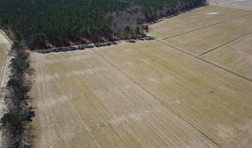 Photo #13 of SOLD property in Off Indian Creek Rd, Chesapeake, VA 105.7 acres