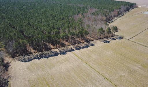 Photo #14 of SOLD property in Off Indian Creek Rd, Chesapeake, VA 105.7 acres