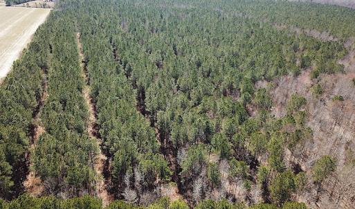 Photo #15 of SOLD property in Off Indian Creek Rd, Chesapeake, VA 105.7 acres