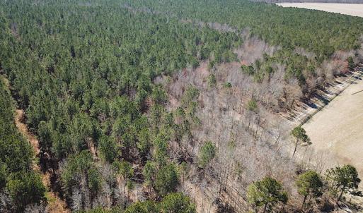 Photo #16 of SOLD property in Off Indian Creek Rd, Chesapeake, VA 105.7 acres