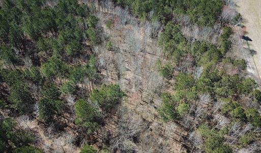 Photo #17 of SOLD property in Off Indian Creek Rd, Chesapeake, VA 105.7 acres