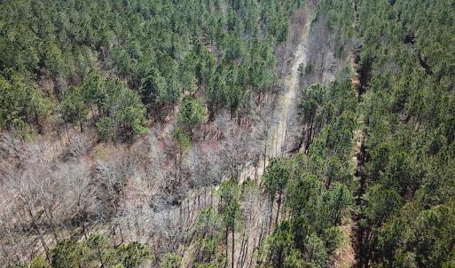 Photo #18 of SOLD property in Off Indian Creek Rd, Chesapeake, VA 105.7 acres