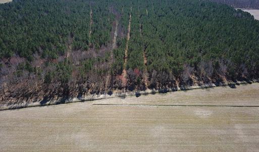 Photo #19 of SOLD property in Off Indian Creek Rd, Chesapeake, VA 105.7 acres