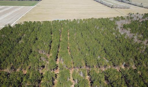 Photo #20 of SOLD property in Off Indian Creek Rd, Chesapeake, VA 105.7 acres