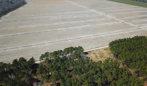 Photo #21 of SOLD property in Off Indian Creek Rd, Chesapeake, VA 105.7 acres