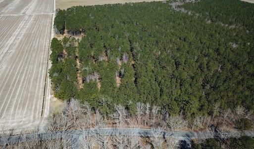 Photo #22 of SOLD property in Off Indian Creek Rd, Chesapeake, VA 105.7 acres
