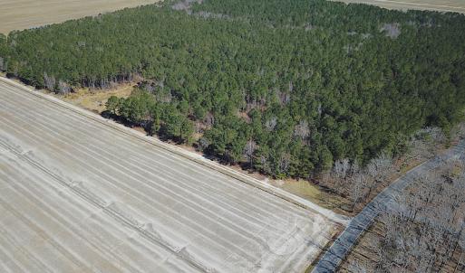 Photo #23 of SOLD property in Off Indian Creek Rd, Chesapeake, VA 105.7 acres