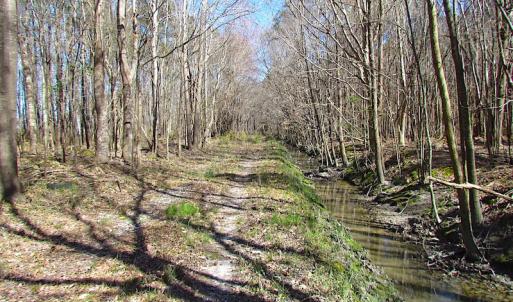 Photo #27 of SOLD property in Off Indian Creek Rd, Chesapeake, VA 105.7 acres
