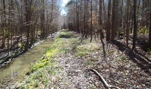 Photo #29 of SOLD property in Off Indian Creek Rd, Chesapeake, VA 105.7 acres