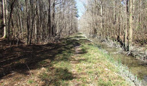 Photo #31 of SOLD property in Off Indian Creek Rd, Chesapeake, VA 105.7 acres