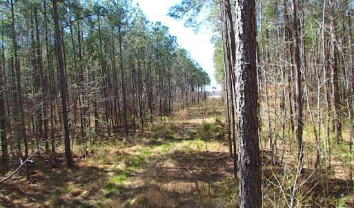 Photo #33 of SOLD property in Off Indian Creek Rd, Chesapeake, VA 105.7 acres