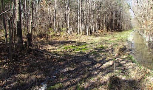 Photo #35 of SOLD property in Off Indian Creek Rd, Chesapeake, VA 105.7 acres