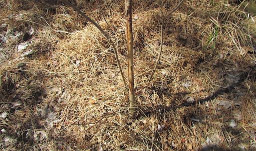Photo #37 of SOLD property in Off Indian Creek Rd, Chesapeake, VA 105.7 acres