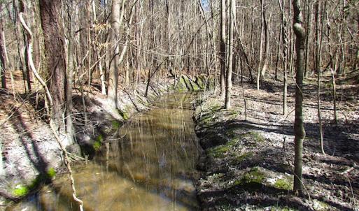 Photo #39 of SOLD property in Off Indian Creek Rd, Chesapeake, VA 105.7 acres