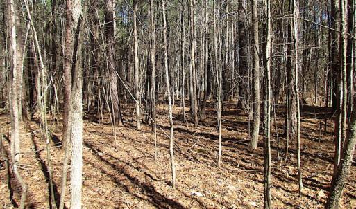 Photo #41 of SOLD property in Off Indian Creek Rd, Chesapeake, VA 105.7 acres