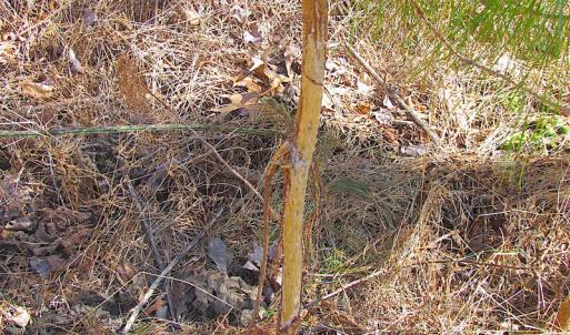 Photo #42 of SOLD property in Off Indian Creek Rd, Chesapeake, VA 105.7 acres