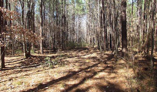 Photo #44 of SOLD property in Off Indian Creek Rd, Chesapeake, VA 105.7 acres