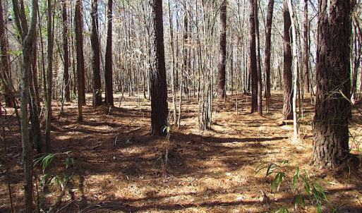 Photo #45 of SOLD property in Off Indian Creek Rd, Chesapeake, VA 105.7 acres
