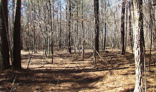 Photo #46 of SOLD property in Off Indian Creek Rd, Chesapeake, VA 105.7 acres