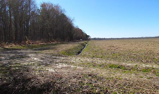 Photo #48 of SOLD property in Off Indian Creek Rd, Chesapeake, VA 105.7 acres