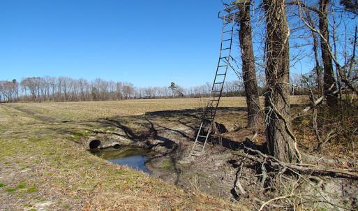 Photo #49 of SOLD property in Off Indian Creek Rd, Chesapeake, VA 105.7 acres