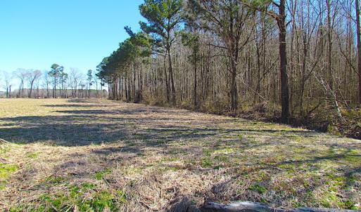 Photo #50 of SOLD property in Off Indian Creek Rd, Chesapeake, VA 105.7 acres
