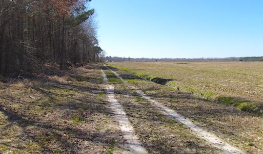 Photo #51 of SOLD property in Off Indian Creek Rd, Chesapeake, VA 105.7 acres