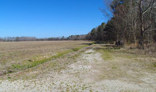 Photo #52 of SOLD property in Off Indian Creek Rd, Chesapeake, VA 105.7 acres
