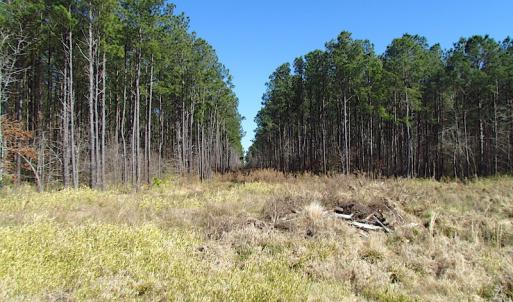 Photo #53 of SOLD property in Off Indian Creek Rd, Chesapeake, VA 105.7 acres