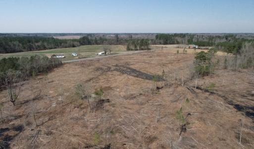 Photo #8 of SOLD property in Off Highway 72, Red Springs, NC 29.2 acres