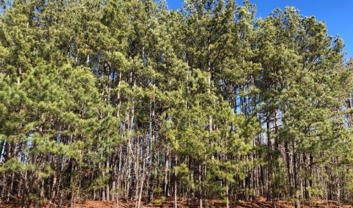 Photo #15 of Off Waterside Dr., Henrico, NC 1.0 acres