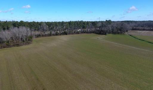 Photo #2 of SOLD property in Stack Turner Road, Chadbourn, NC 23.1 acres