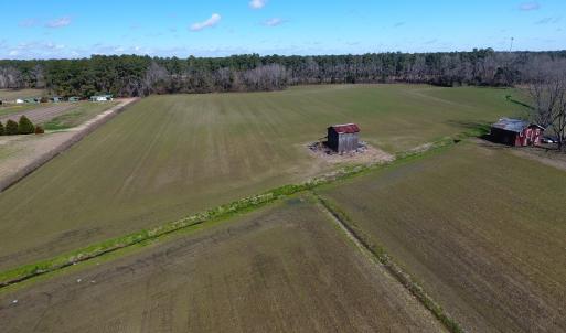 Photo #5 of SOLD property in Stack Turner Road, Chadbourn, NC 23.1 acres