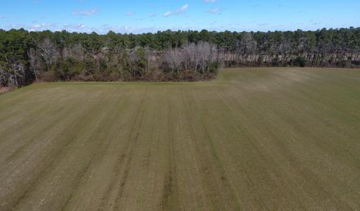 Photo #6 of SOLD property in Stack Turner Road, Chadbourn, NC 23.1 acres