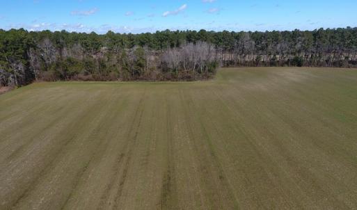Photo #6 of SOLD property in Stack Turner Road, Chadbourn, NC 23.1 acres