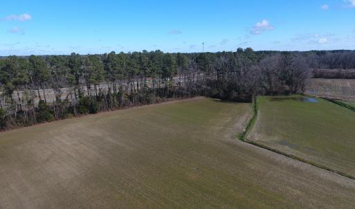 Photo #7 of SOLD property in Stack Turner Road, Chadbourn, NC 23.1 acres