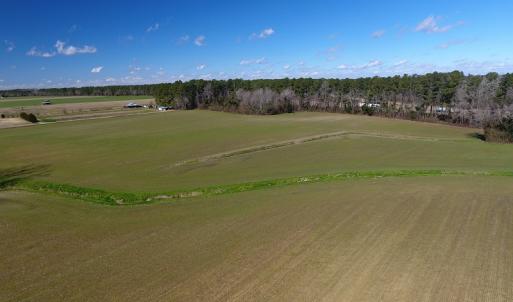 Photo #10 of SOLD property in Stack Turner Road, Chadbourn, NC 23.1 acres