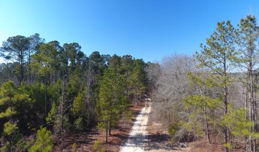 Photo #3 of SOLD property in Off McLean Chapel Church Road, Bunnlevel, NC 60.8 acres