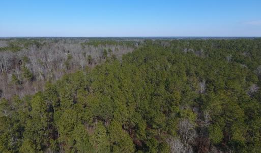 Photo #6 of SOLD property in Off McLean Chapel Church Road, Bunnlevel, NC 60.8 acres