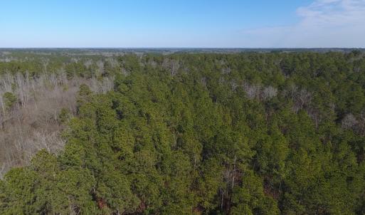 Photo #7 of SOLD property in Off McLean Chapel Church Road, Bunnlevel, NC 60.8 acres