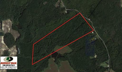 Photo #1 of SOLD property in Off McLean Chapel Church Road, Bunnlevel, NC 60.8 acres