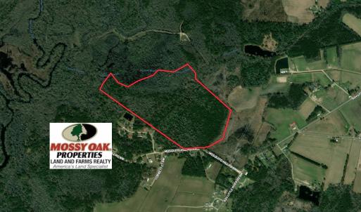 Photo #1 of SOLD property in Off Mosquito Hill Road, Ash, NC 71.9 acres