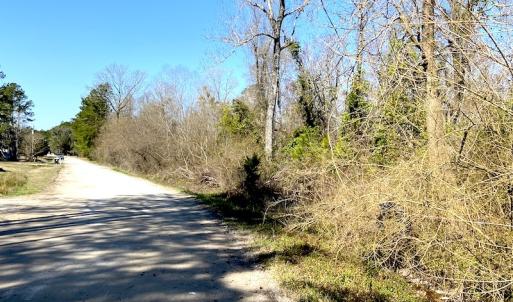 Photo #3 of SOLD property in Off Mosquito Hill Road, Ash, NC 71.9 acres
